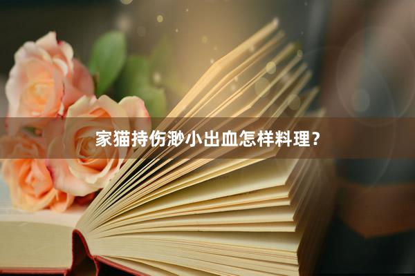 家猫持伤渺小出血怎样料理？