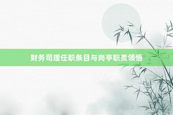 财务司理任职条目与岗亭职责领悟