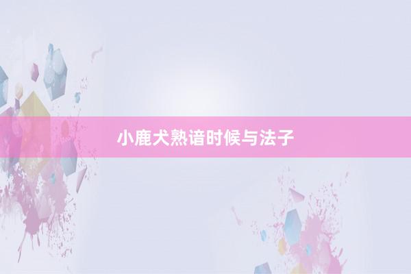 小鹿犬熟谙时候与法子