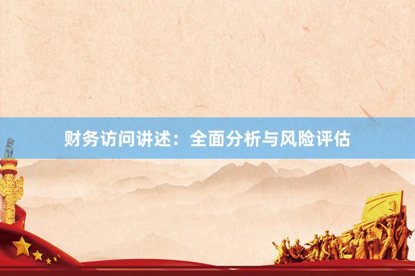 财务访问讲述：全面分析与风险评估